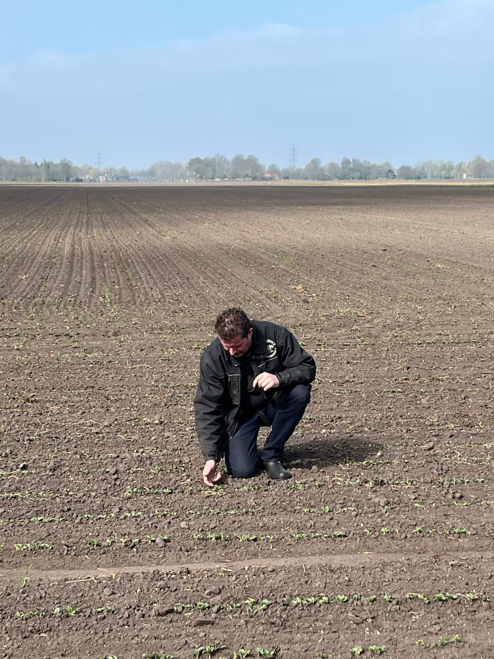 Geert Lindenhols bij zijn veldboontjes