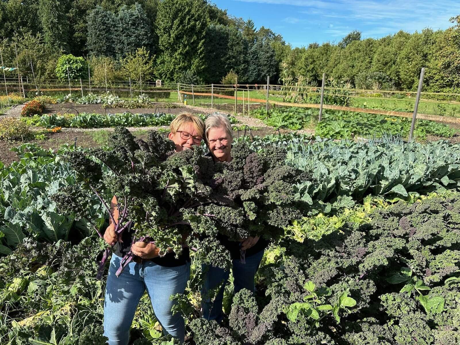 Moestuin Afeer met personeel en boerenkool