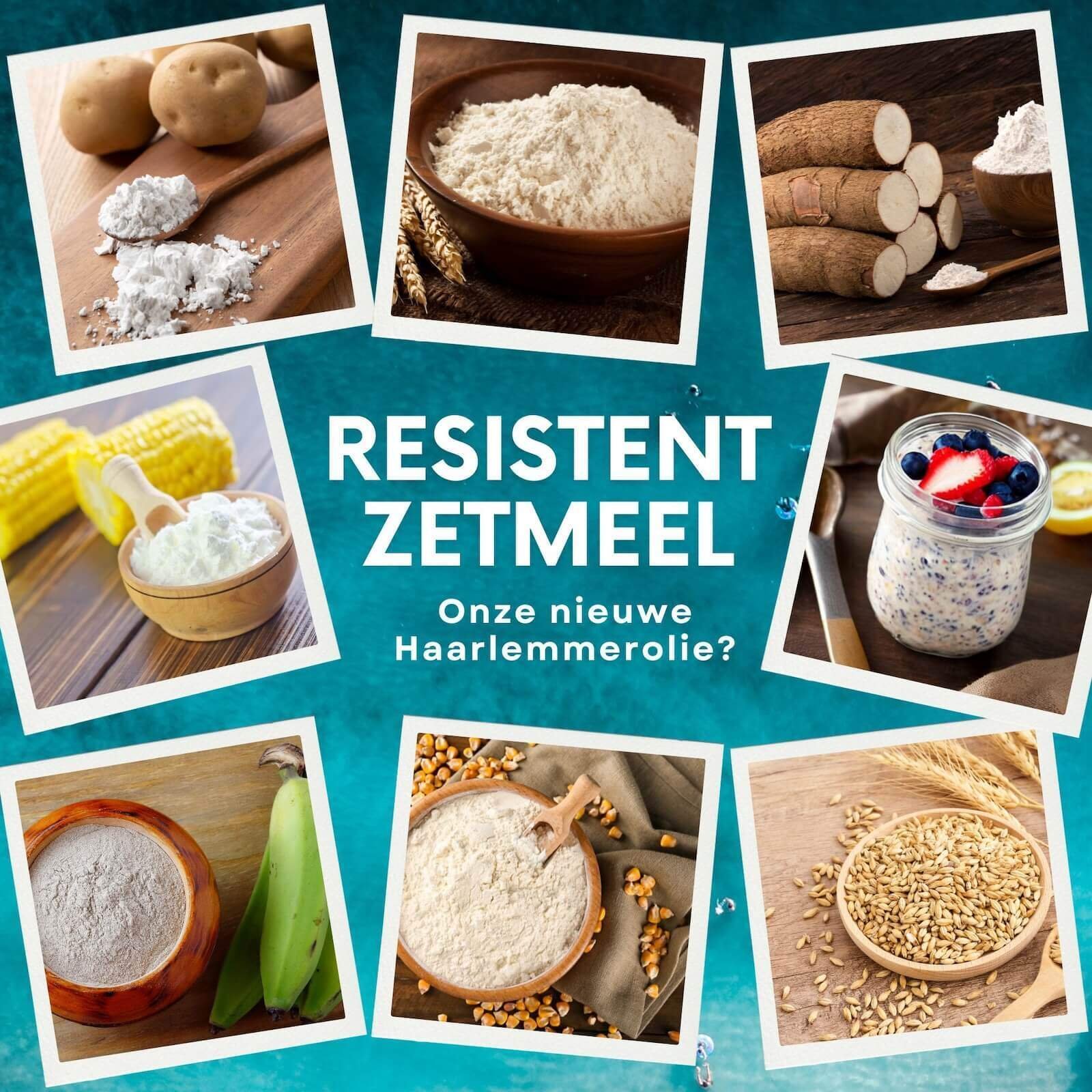 Resistent zetmeel artikel van Rineke Dijkinga