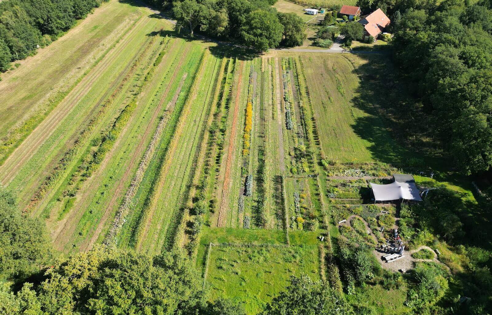 Luchtfoto van Heerlijk Westerwolds Land