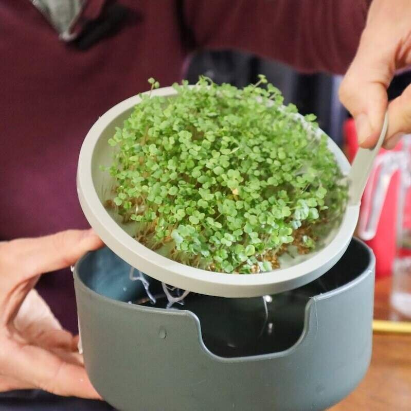 Kiemen & Microgroentendag