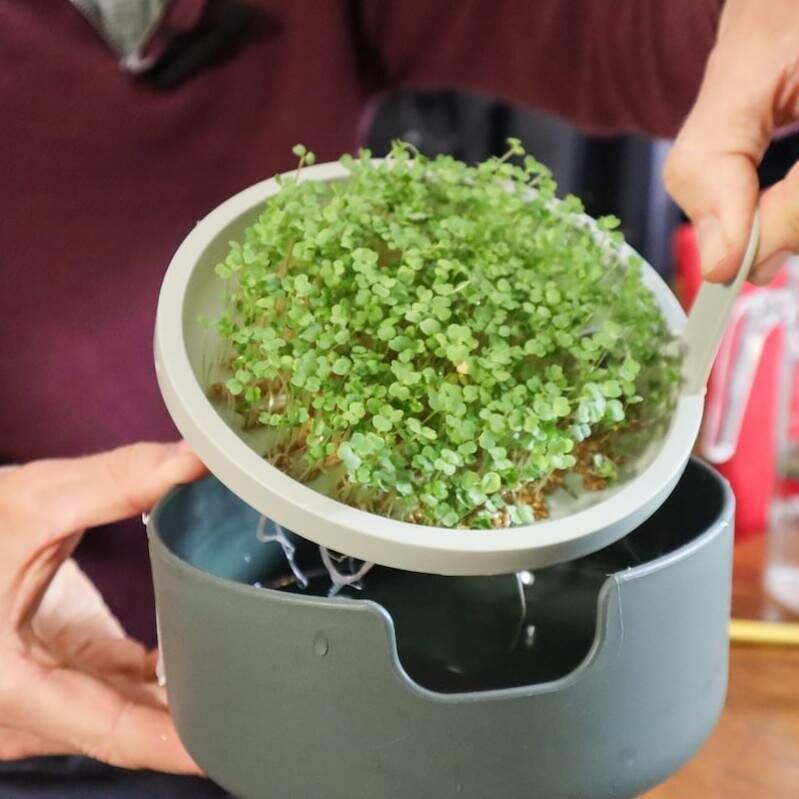 Kiemen & Microgroentendag