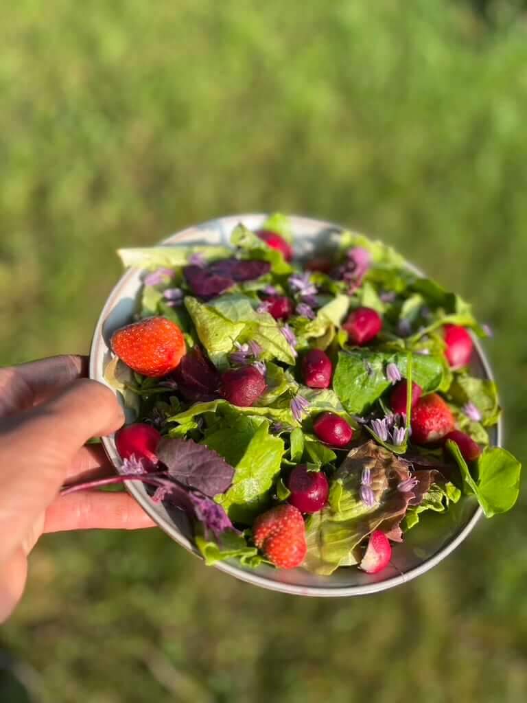 Salade op Heerlijk Westerwolds Land
